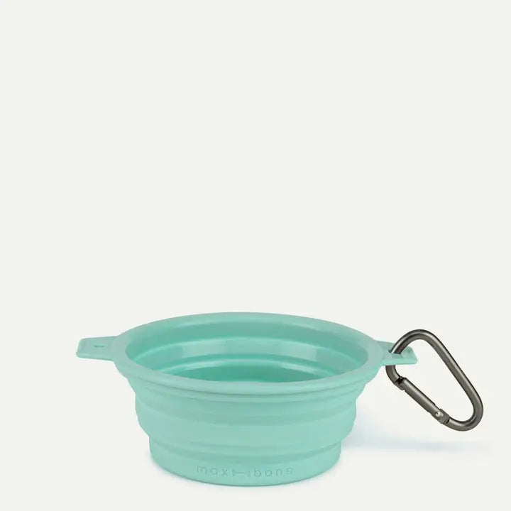 Rubber Travel Bowl in Mint