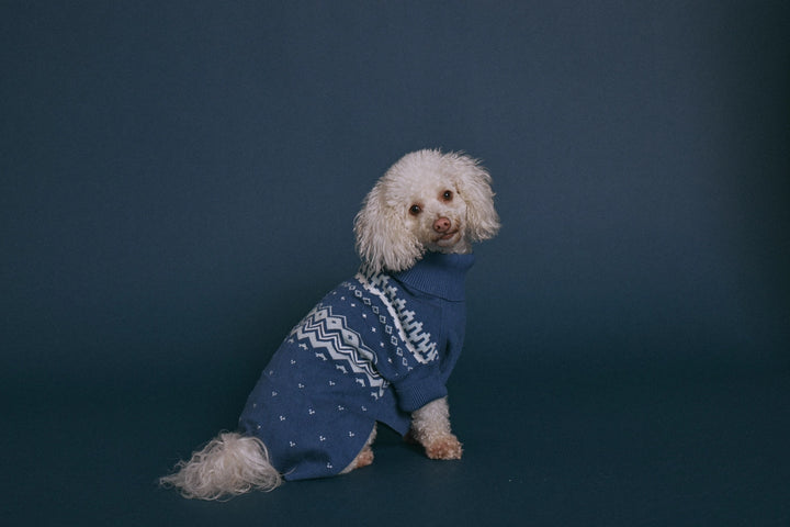 Winter Nordic Jumper - Madison's Niche 