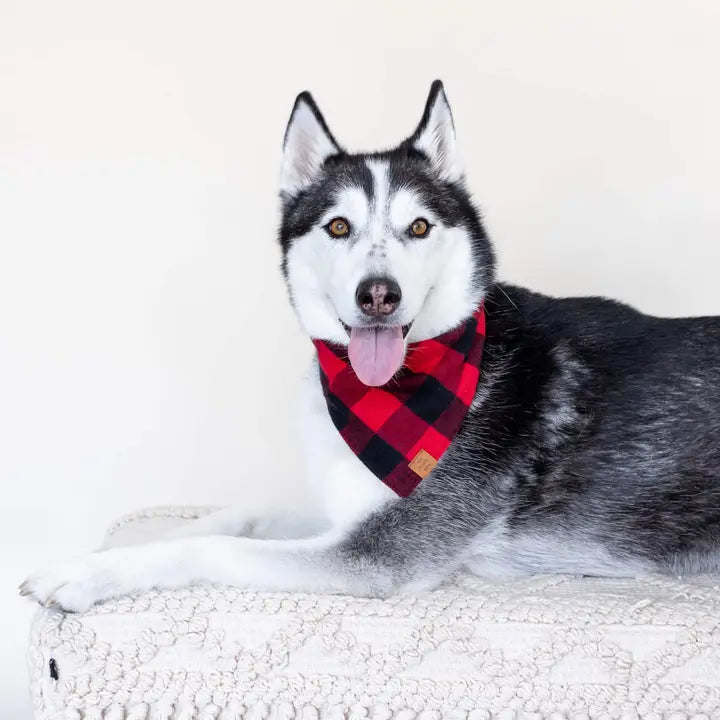 Red & Black Buffalo Bandana - Madison's Niche 