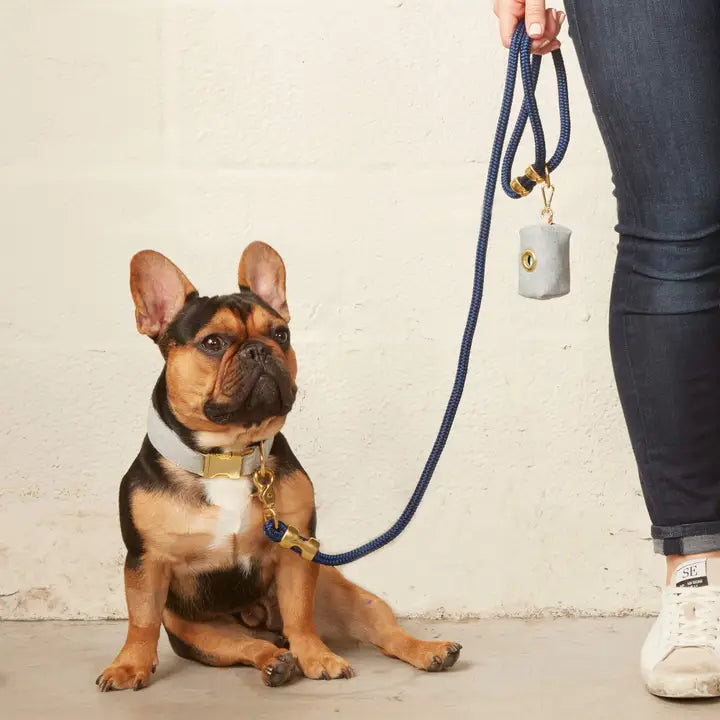 Denim Collar - Madison's Niche 
