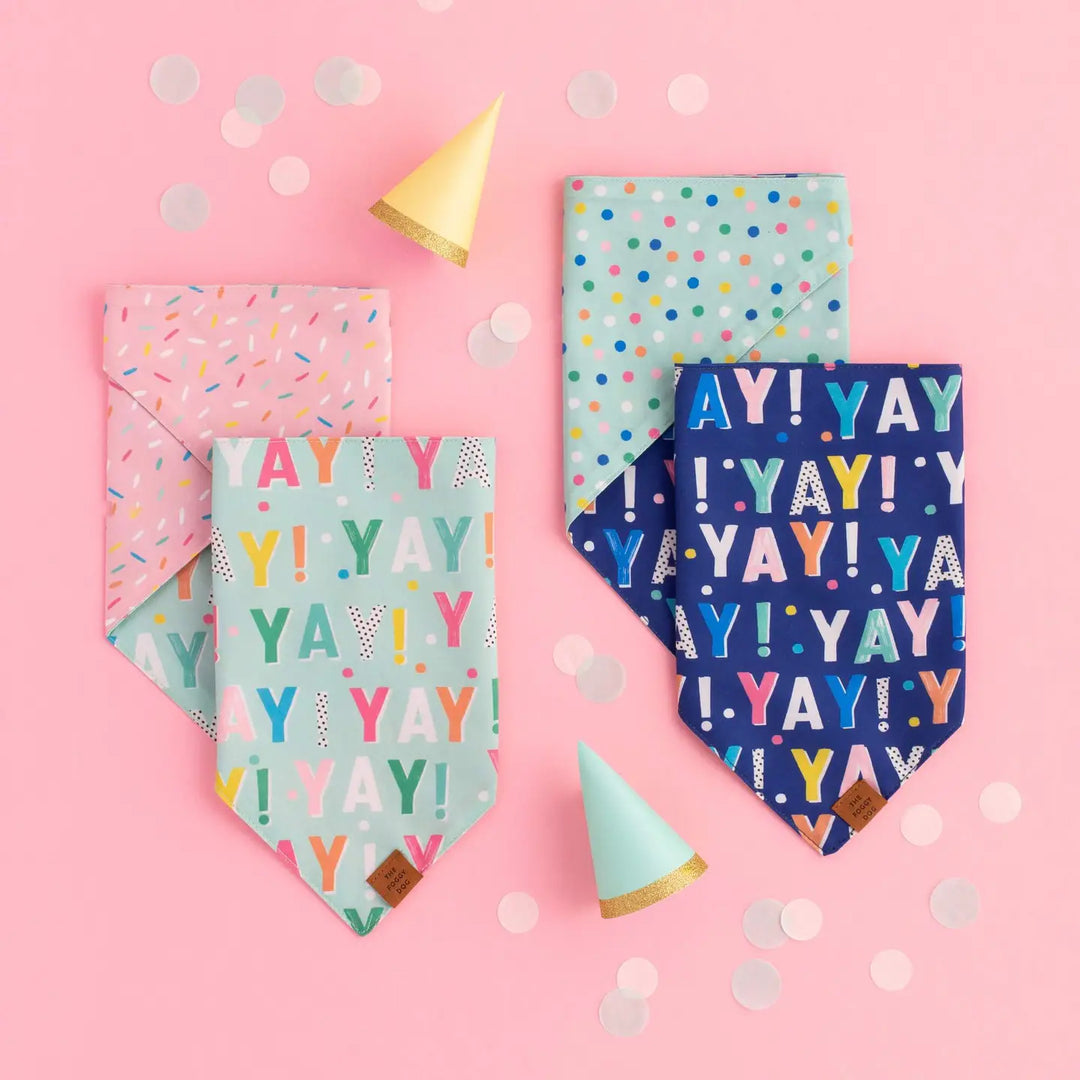 Reversible Birthday Yay Bandana - Madison's Niche 