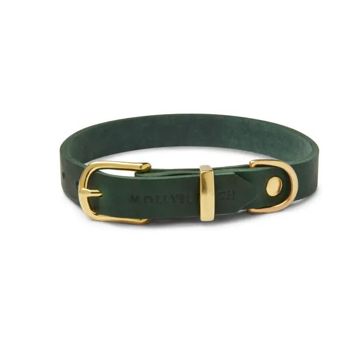 Forest Green Collar - Madison's Niche 
