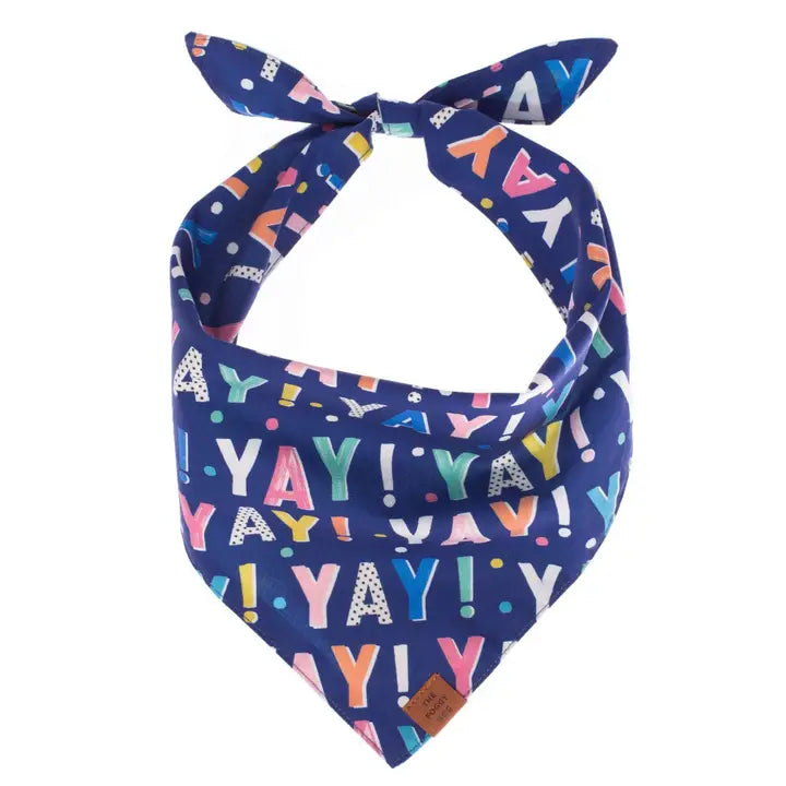 Reversible Birthday Yay Bandana - Madison's Niche 