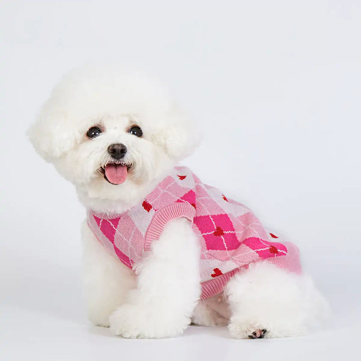 Argyle Knit Sweater in Pink