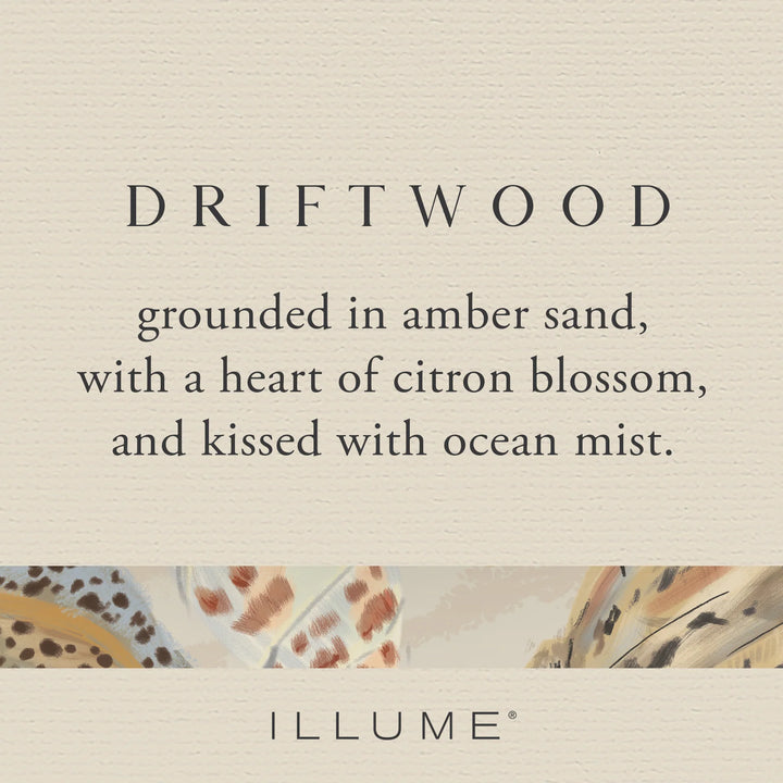 Driftwood Diffuser