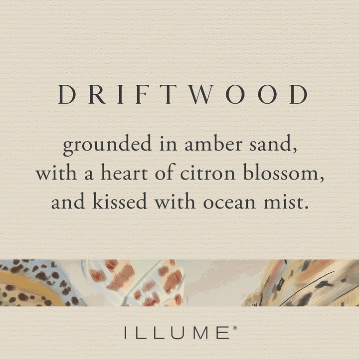 Driftwood Diffuser - Madison's Niche 