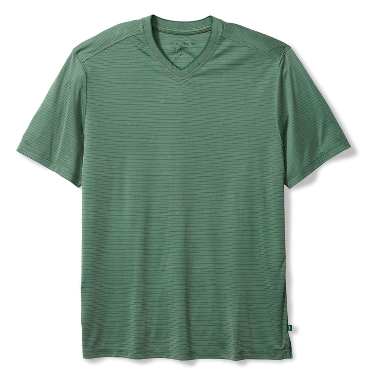 Bay Stripe V-Neck T-Shirt in Spruce Frost