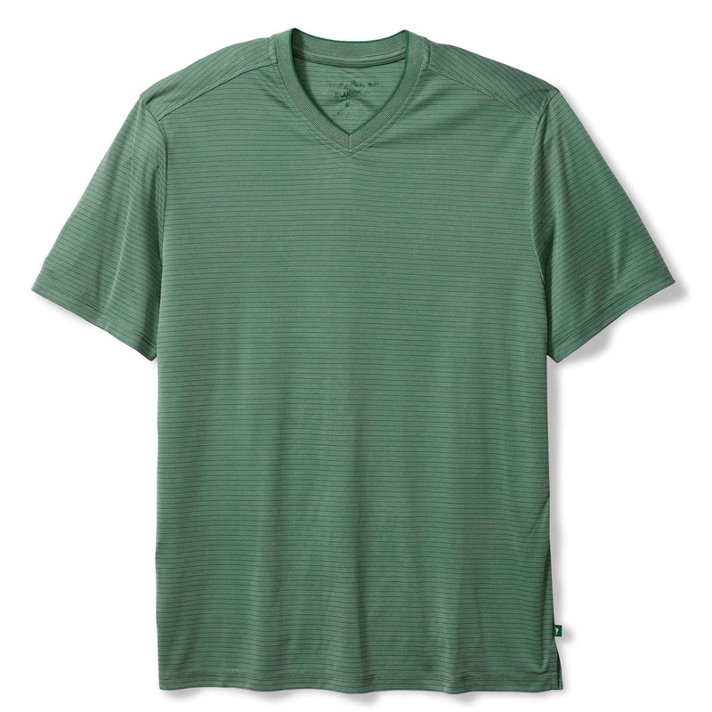 Bay Stripe V-Neck T-Shirt in Spruce Frost