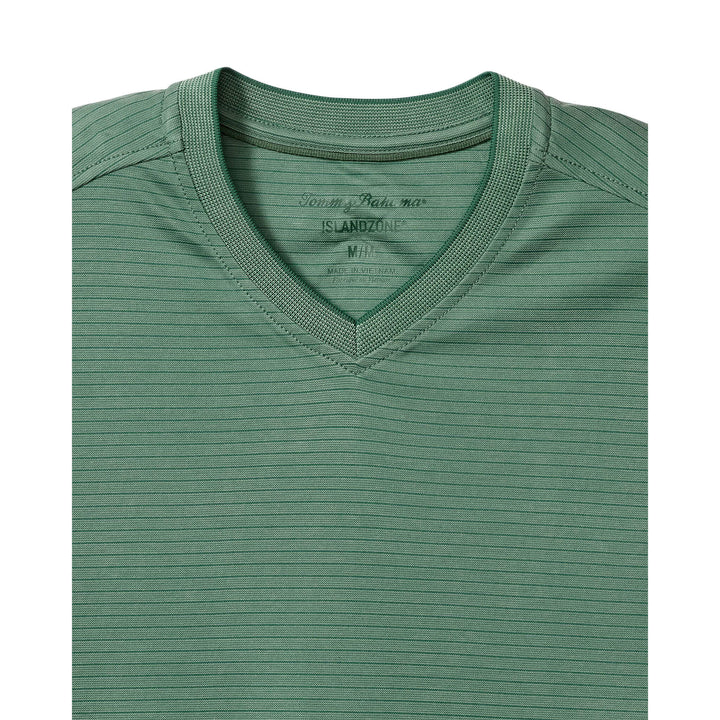 Bay Stripe V-Neck T-Shirt in Spruce Frost