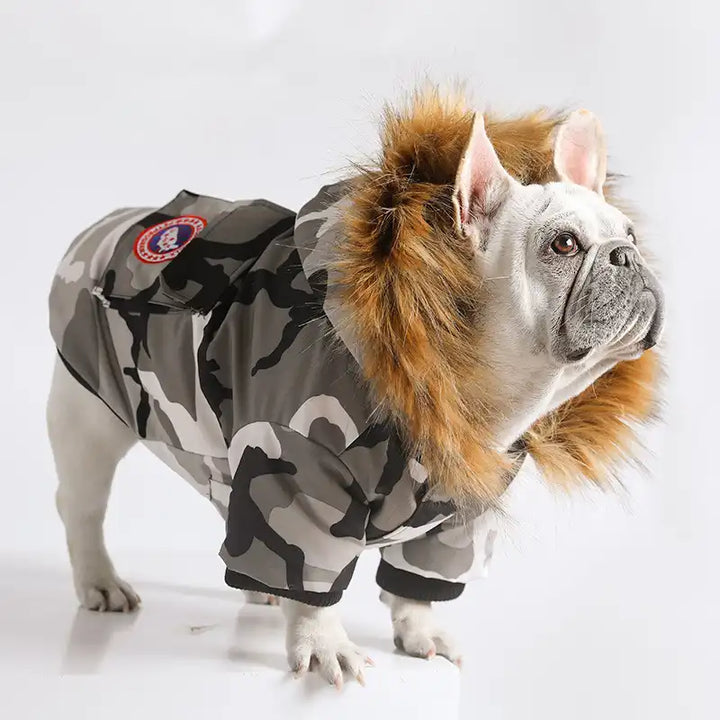 Canada Goose Parka For Small Dogs - Madison's Niche 
