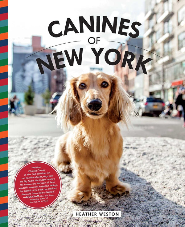 Canines of New York Madison's Niche 