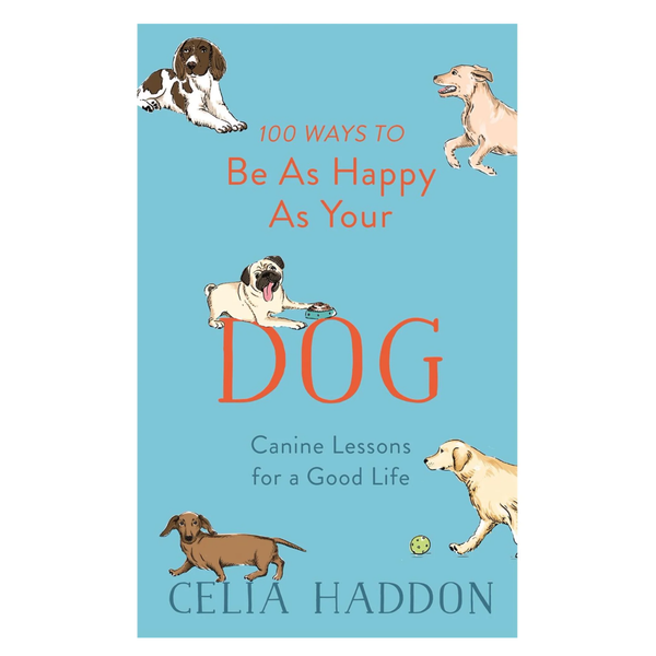 100 Ways to Be As Happy As Your Dog Madison's Niche 