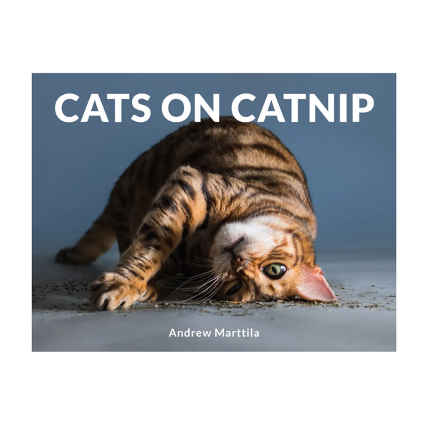 Cats on Catnip Madison's Niche 