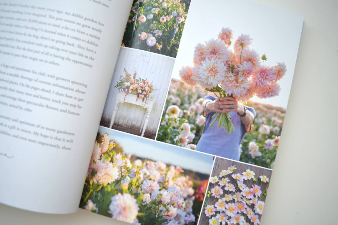 Dahlias Book