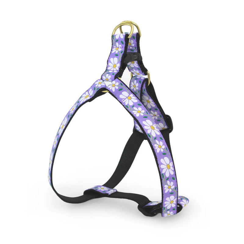 Daisy Harness - Madison's Niche 