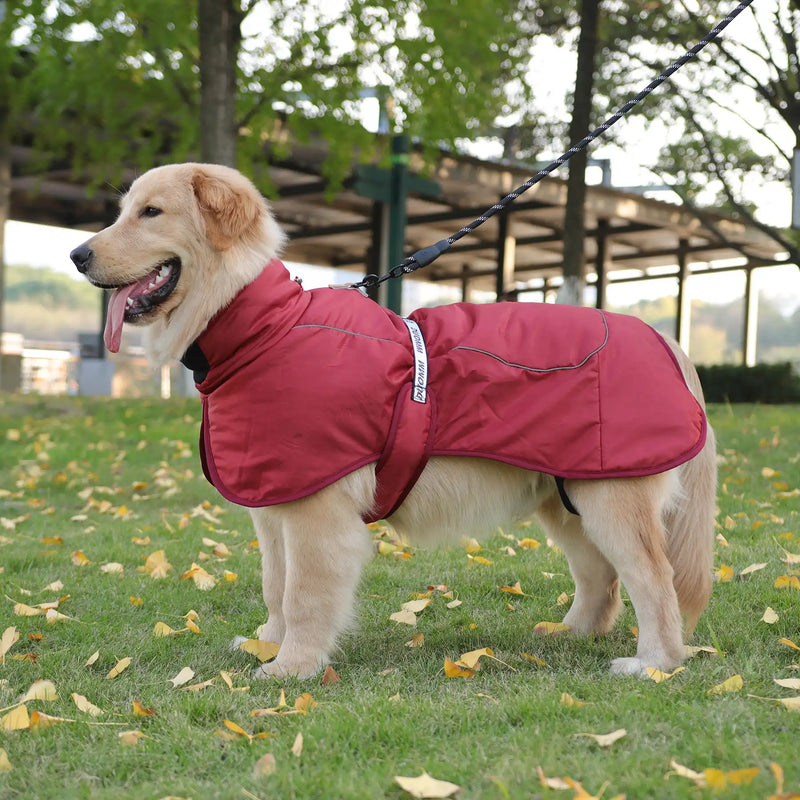 Reflective Jacket - Madison's Niche 