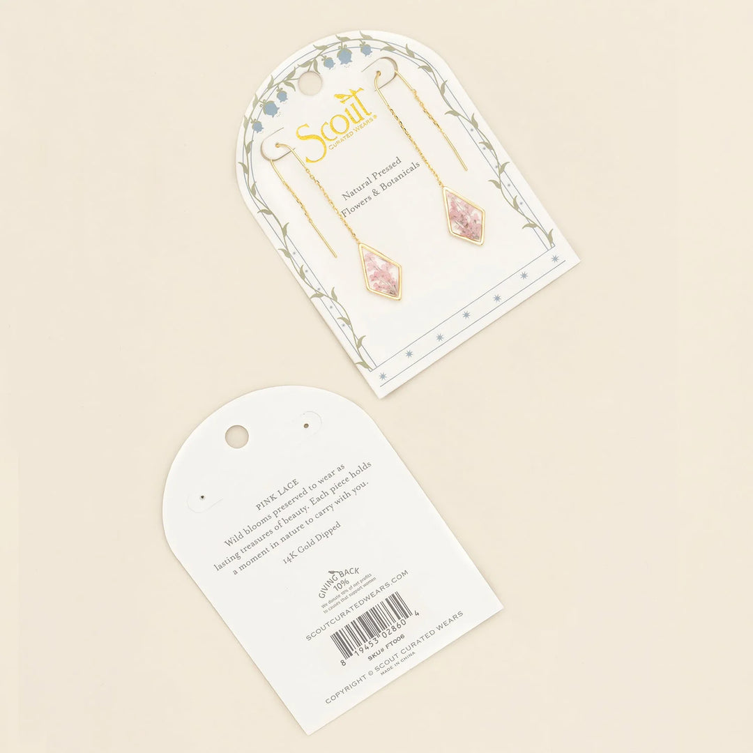 Madison's Niche 