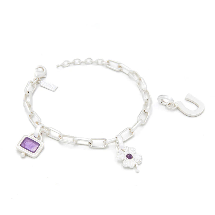 Protection Interchangeable Charm Bracelet in Amethyst Silver