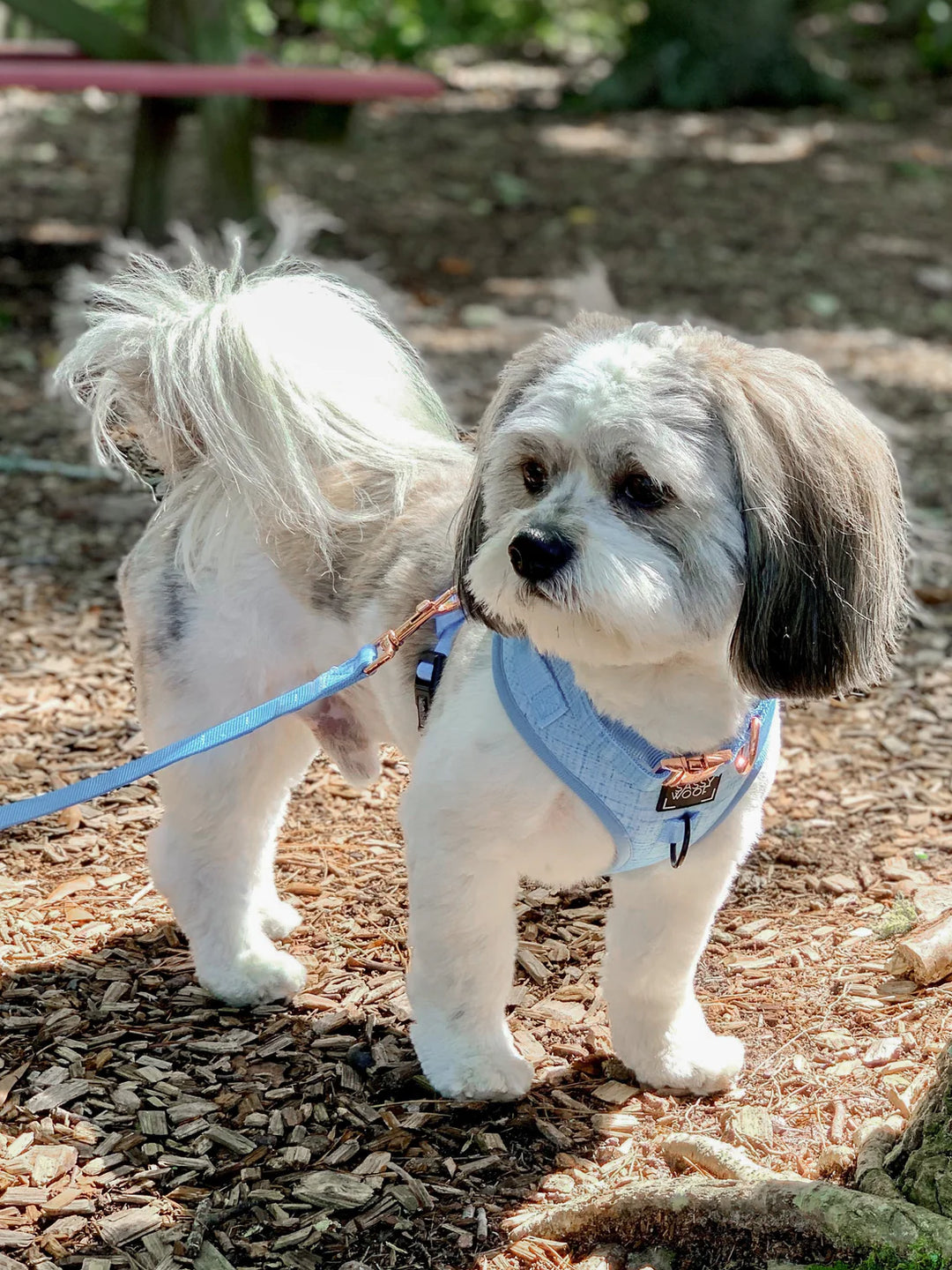 Blue Adjustable Harness - Madison's Niche 