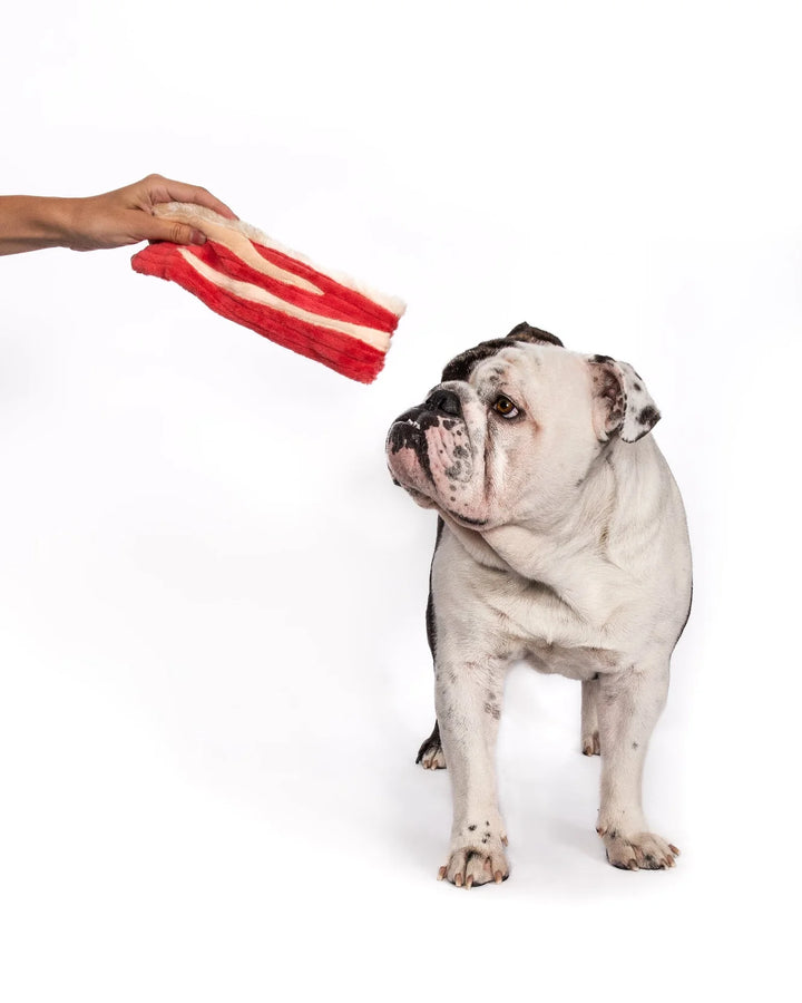 Bacon Toy