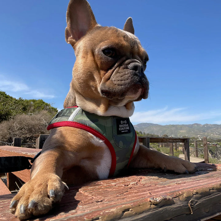 Camo Harness - Madison's Niche 