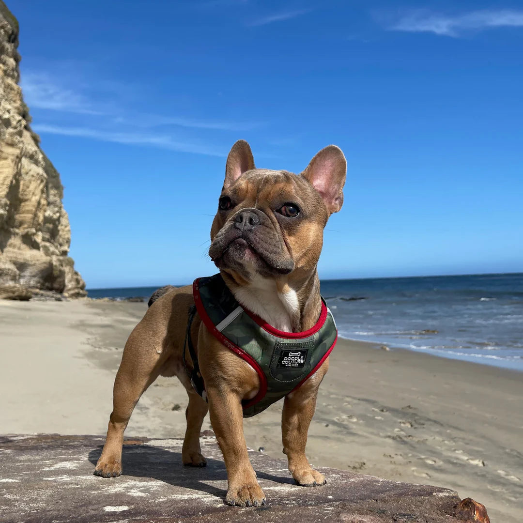 Camo Harness - Madison's Niche 