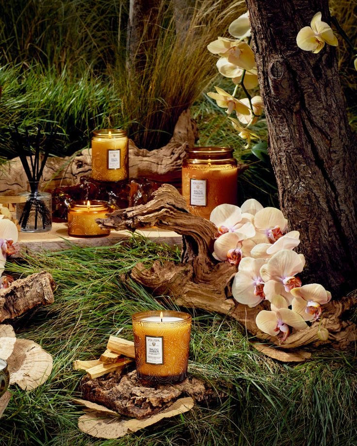 Baltic Amber Diffuser - Madison's Niche 