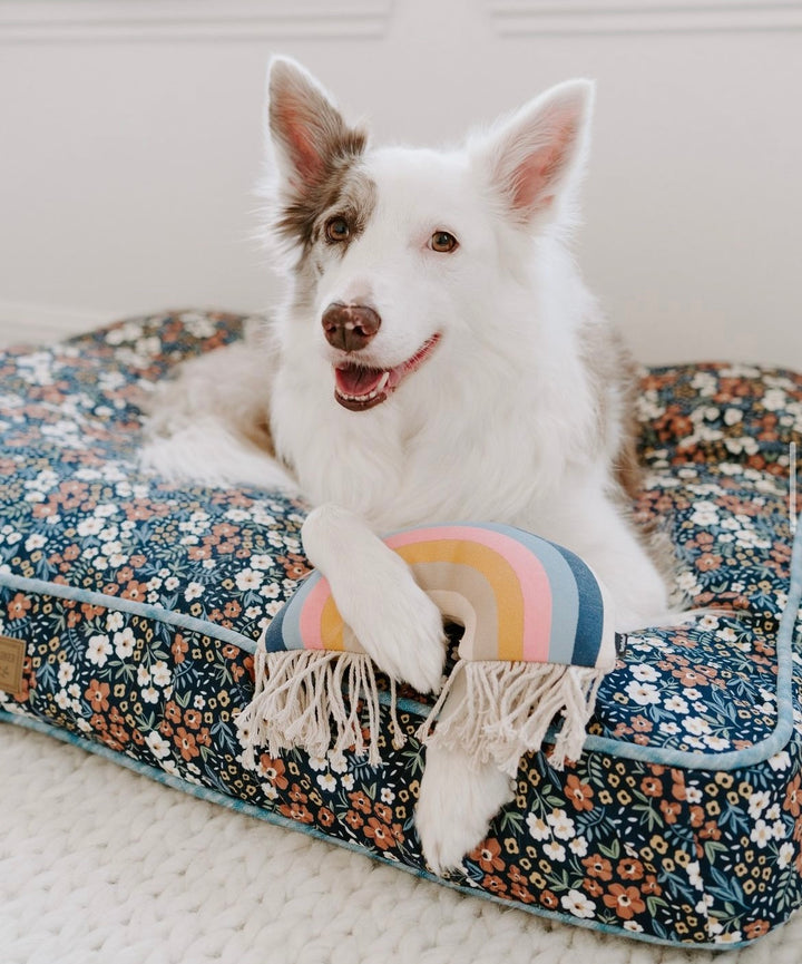Rainbow Plush Toy - Madison's Niche 