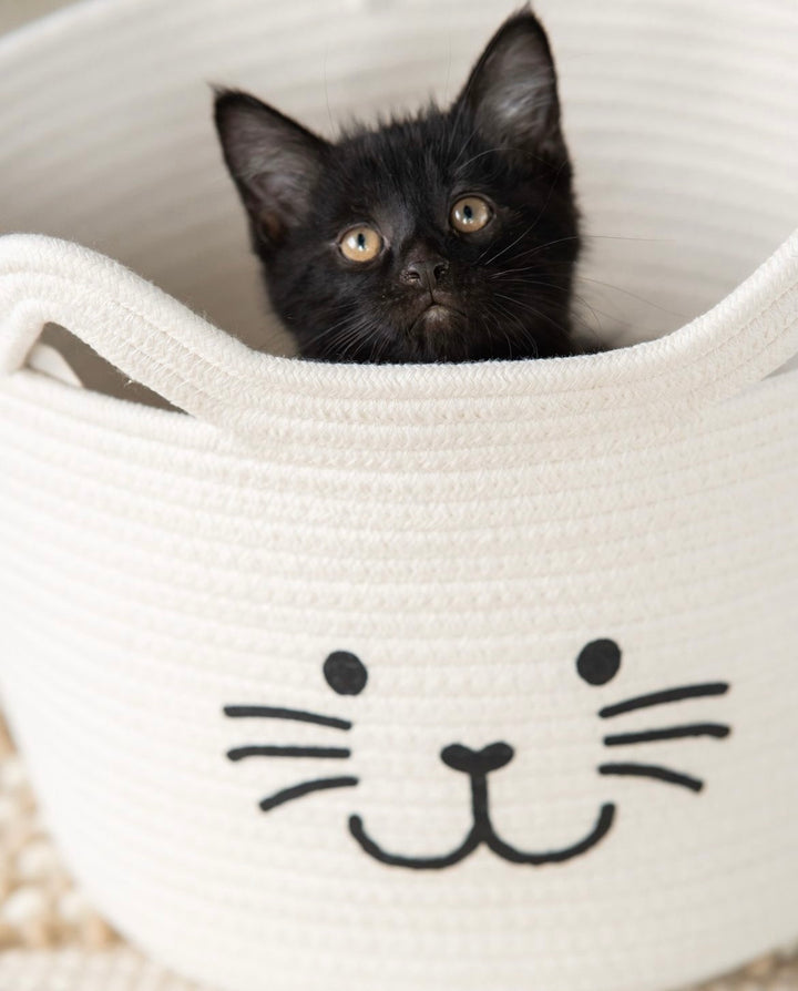 Kitty Cat Rope Basket - Madison's Niche 