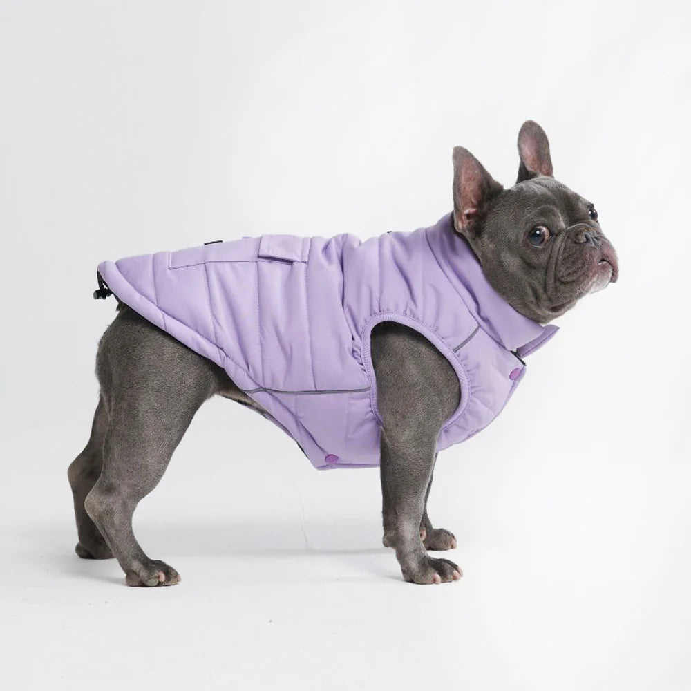 Lilac Warm Shield Jacket - Madison's Niche 