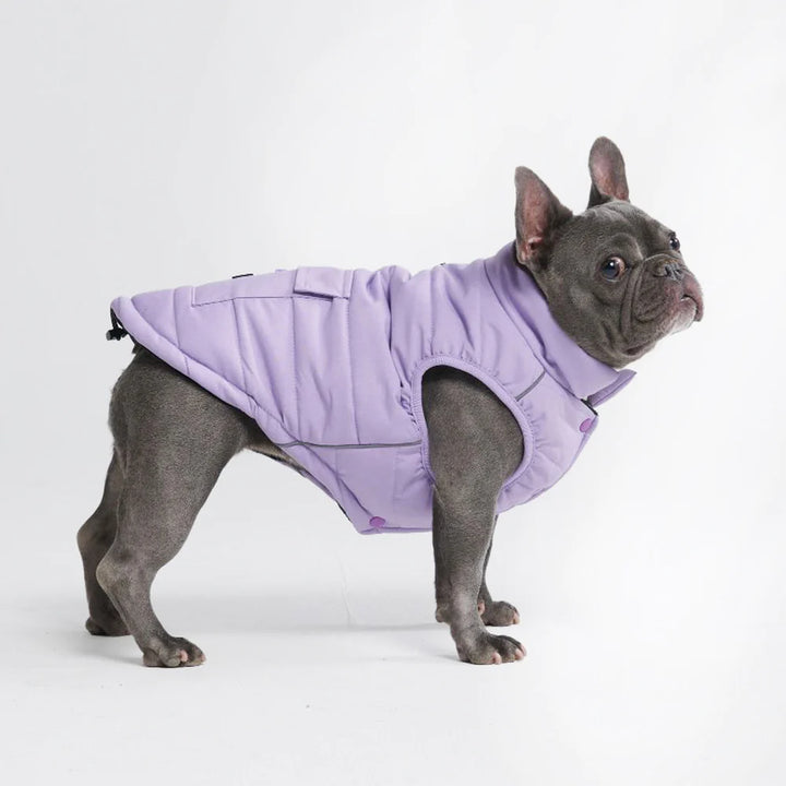 Lilac Warm Shield Jacket - Madison's Niche 