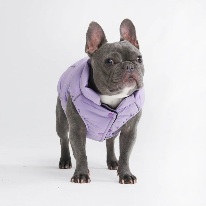 Lilac Warm Shield Jacket - Madison's Niche 