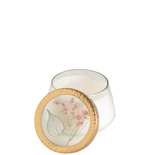 Apricot Rose Glass Candle Madison's Niche 
