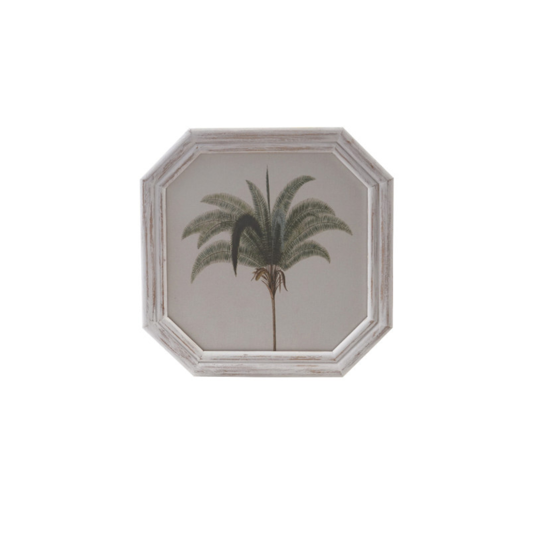 Madison's Niche 