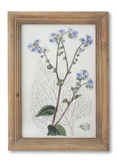 16.5" Framed Flower Print - Madison's Niche 