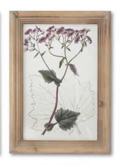16.5" Framed Flower Print - Madison's Niche 