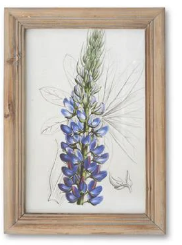 16.5" Framed Flower Print - Madison's Niche 