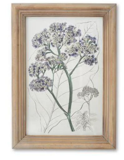 16.5" Framed Flower Print - Madison's Niche 