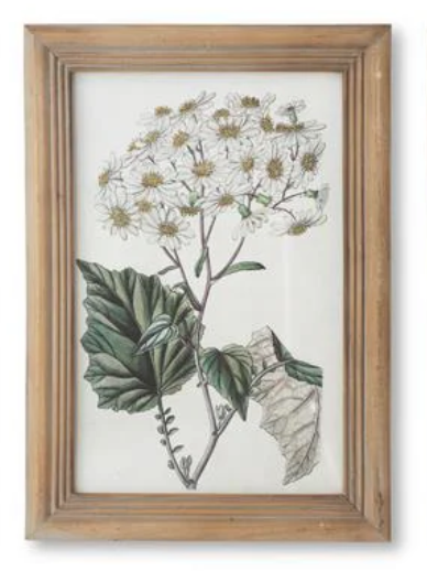 16.5" Framed Flower Print - Madison's Niche 