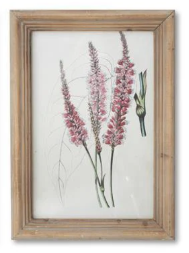 16.5" Framed Flower Print - Madison's Niche 