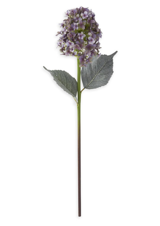 28" Light Purple Cone Hydrangea