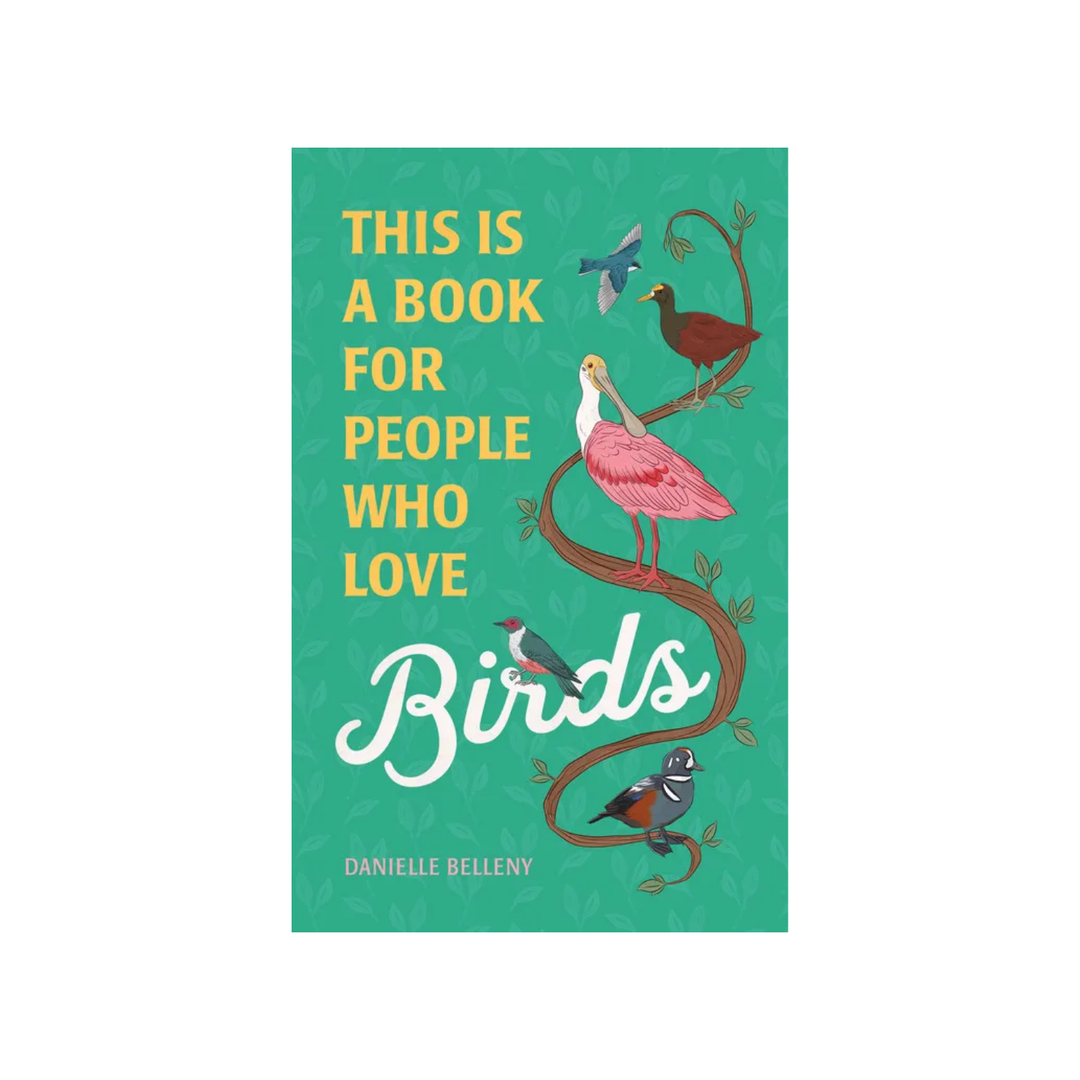 Madison's Niche 