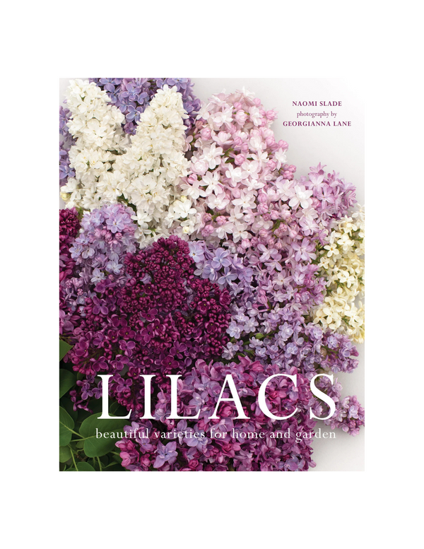 Lilacs Madison's Niche 