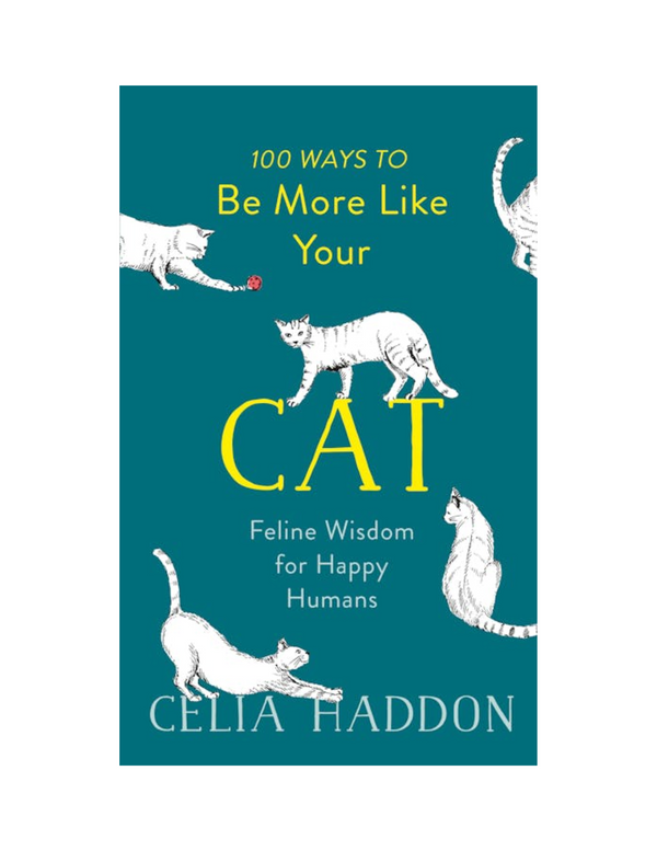 100 Ways to Be More Like Your Cat Madison's Niche 