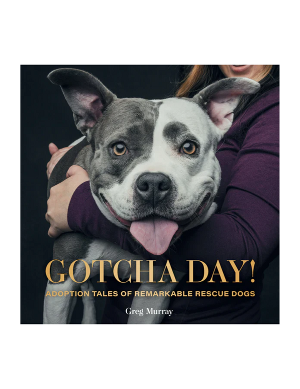 Gotcha Day Madison's Niche 