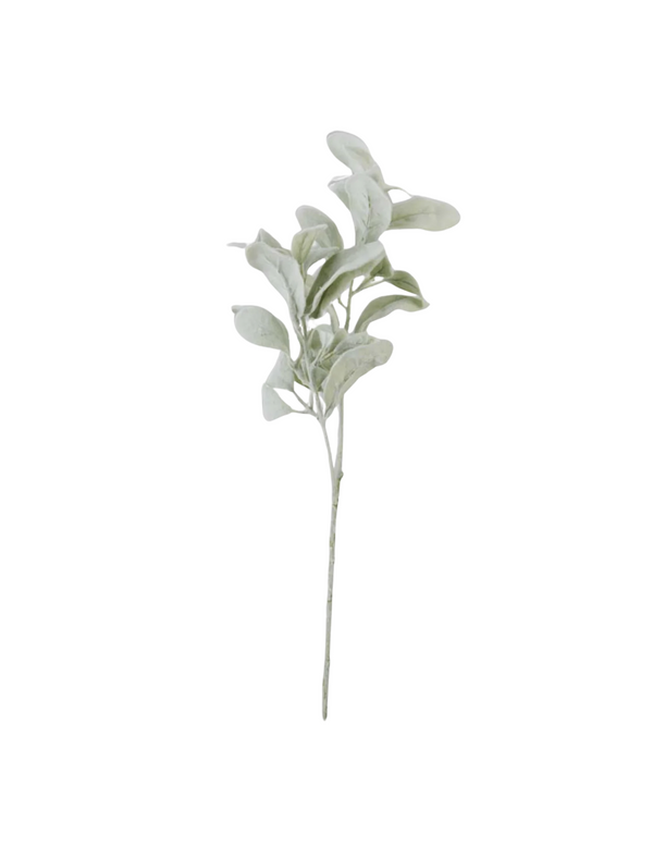 20" Lambs Ear Stem Madison's Niche 