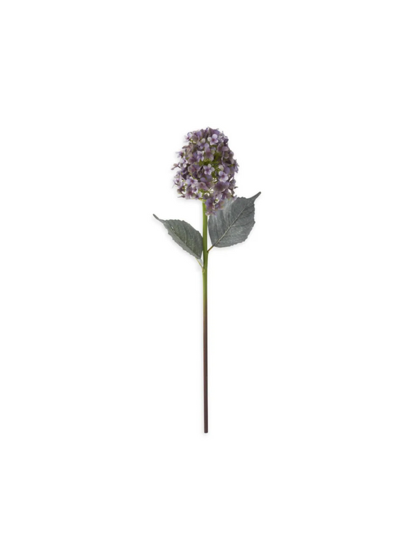 28" Light Purple Cone Hydrangea Madison's Niche 