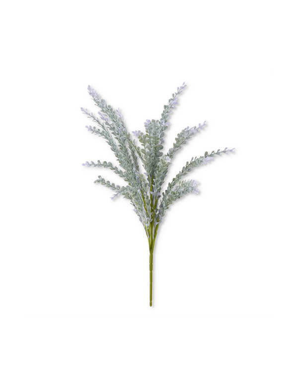 Soft Green With Purple Bush Madison's Niche 