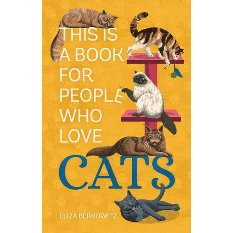 People Who Love Cats - Madison's Niche 