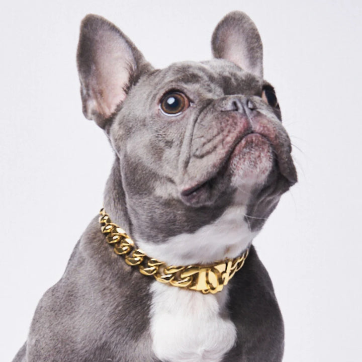 Cuban Link Collar - Madison's Niche 
